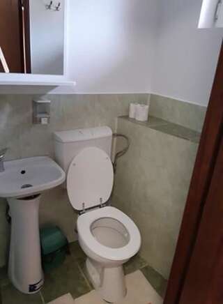 Гостевой дом Pensiunea Răzvan Гура-Рыулуй Трехместный номер с собственной ванной комнатой-1